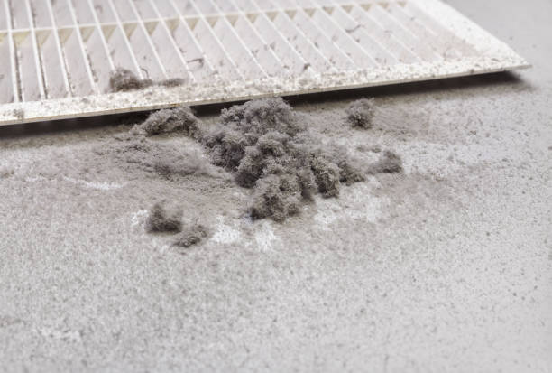 Ventilation Cleaning Services in Frostburg, MD