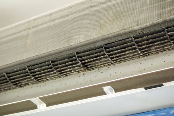 Best Emergency Air Duct Cleaning  in Frostburg, MD