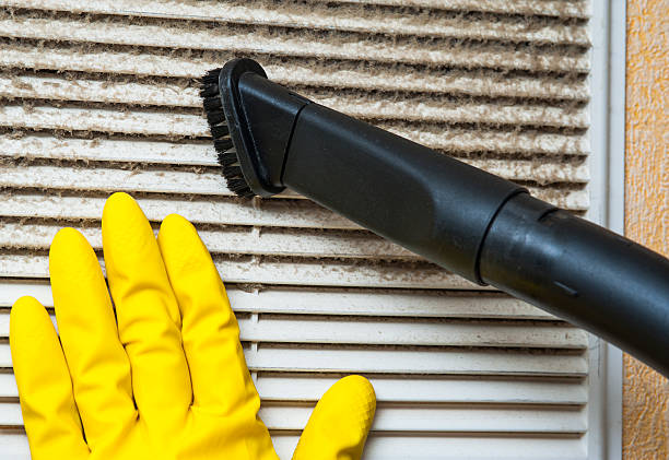 Best Air Duct Sanitizing Services  in Frostburg, MD